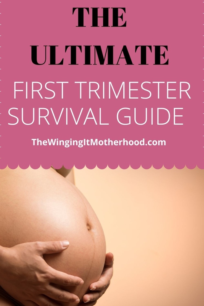 First trimester survival guide. Morning sickness tips. Toddler activities.